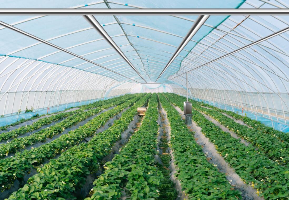 溫室大棚中使用臭氧發生器需要注意哪些問題(圖1) 溫室大棚中使用臭氧發生器需要注意哪些問題(圖1)